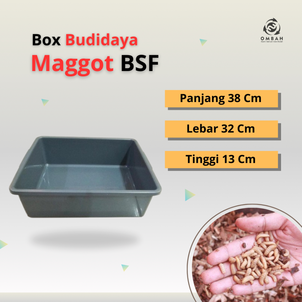 BOX Budidaya Maggot BSF Ukuran 38 cm x 32 Cm x 13 cm