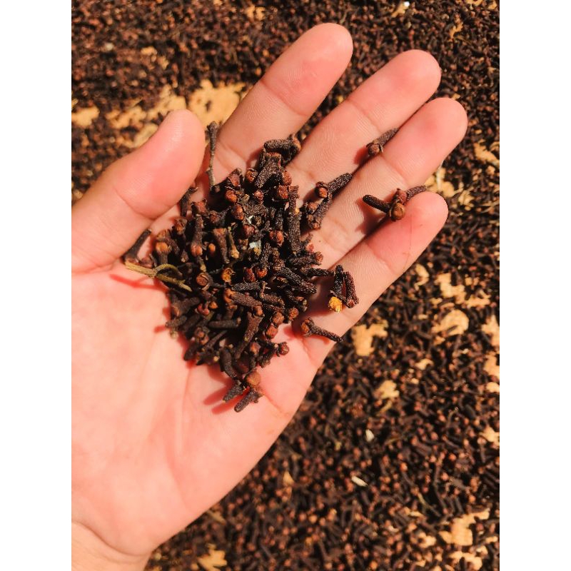 

CENGKEH KERING KUALITAS PREMIUM