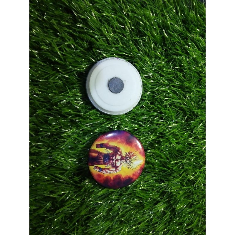 pin magnet dragon ball