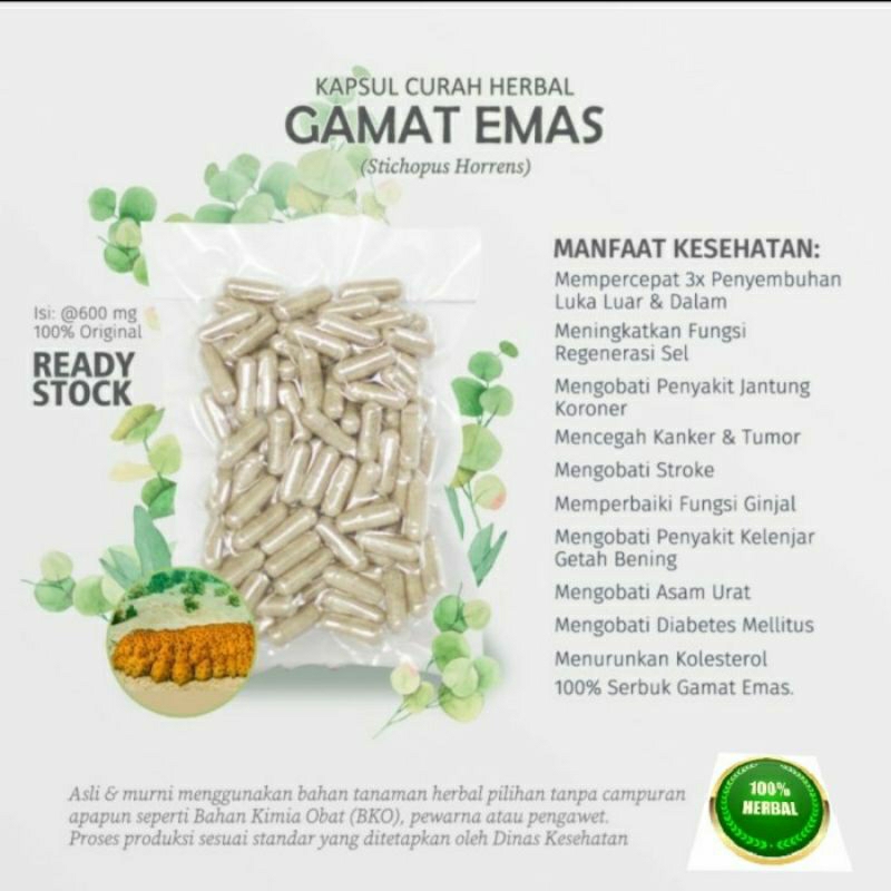 

Gamat Gold Kapsul Gamat Emas 500mg Super Teripang Laut 100 Kapsul