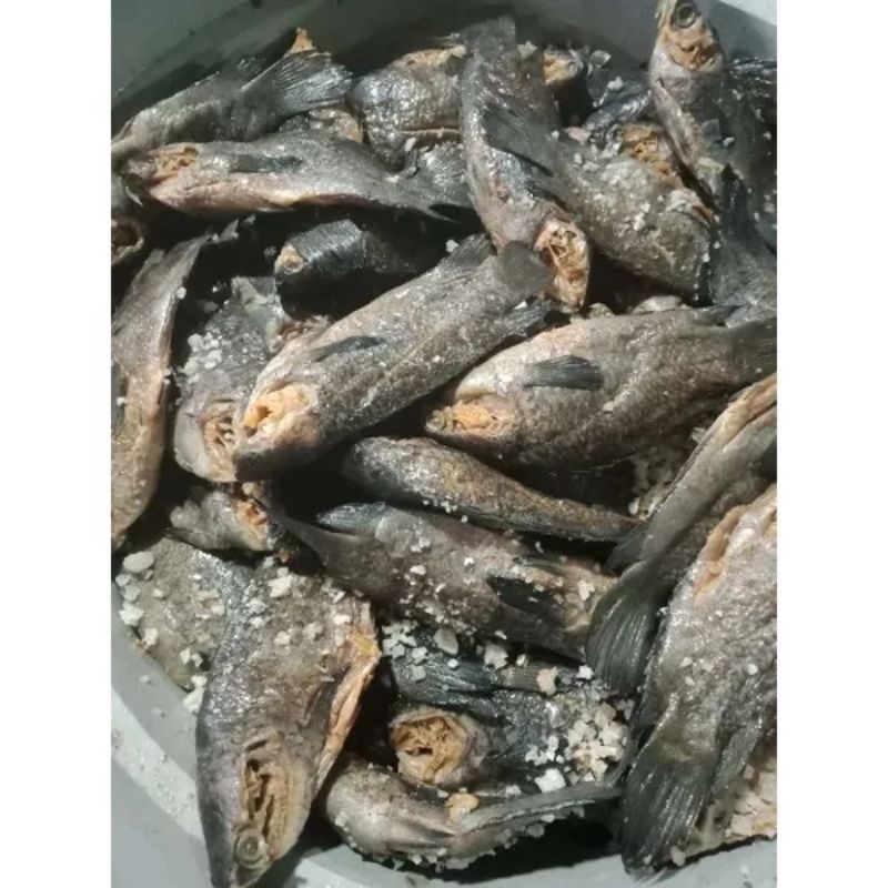 

ikam wadi pepuyu 500gram