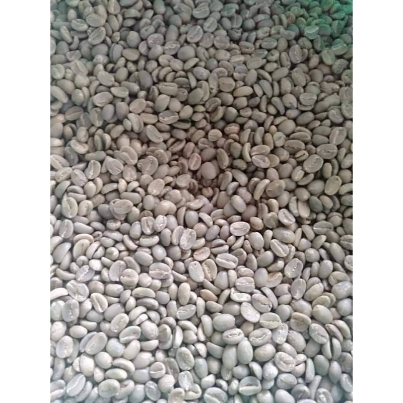 

greenbean kopi arabica