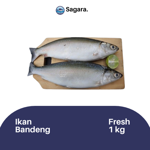 

Ikan Bandeng Kiloan Bandung - 1kg