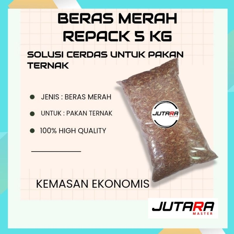 beras merah super jutara master pakan ternak pakan ayam bangkok