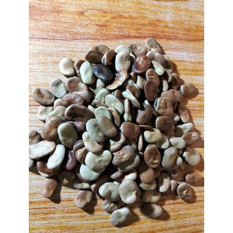 

kacang arab mentah /fava beans