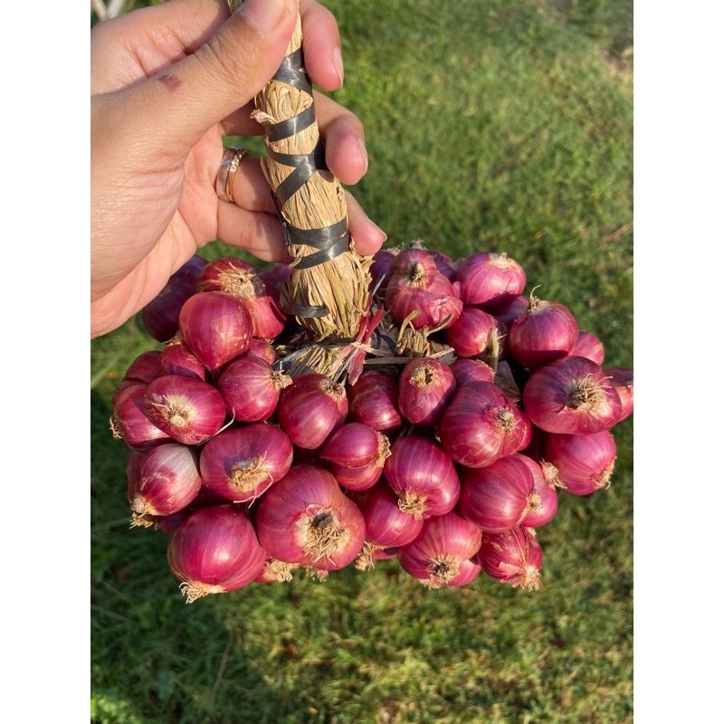 

Bawang merah probolinggo SUPER