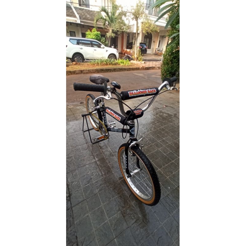 BMX Diamondback Old School