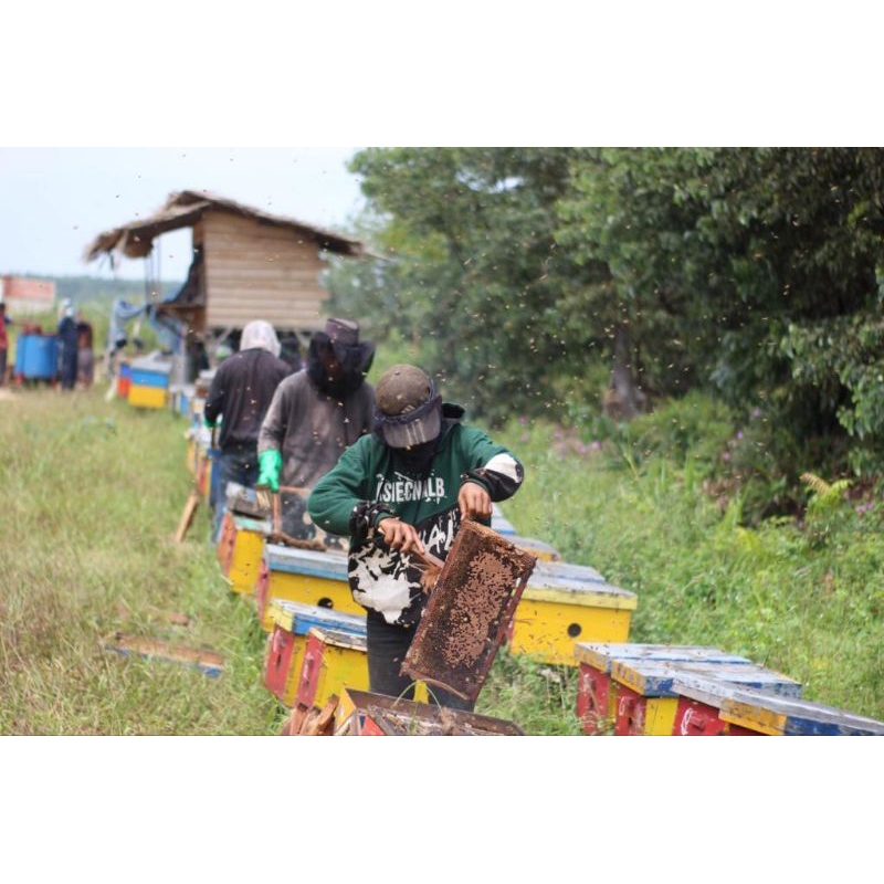 

madu manis begizi banyak vitamin nya