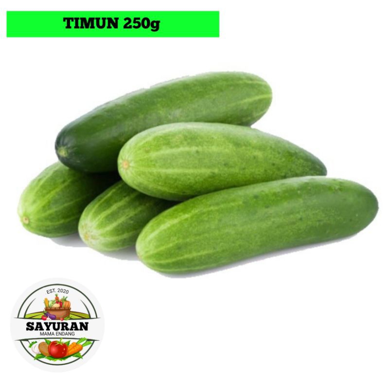 

timun sayur