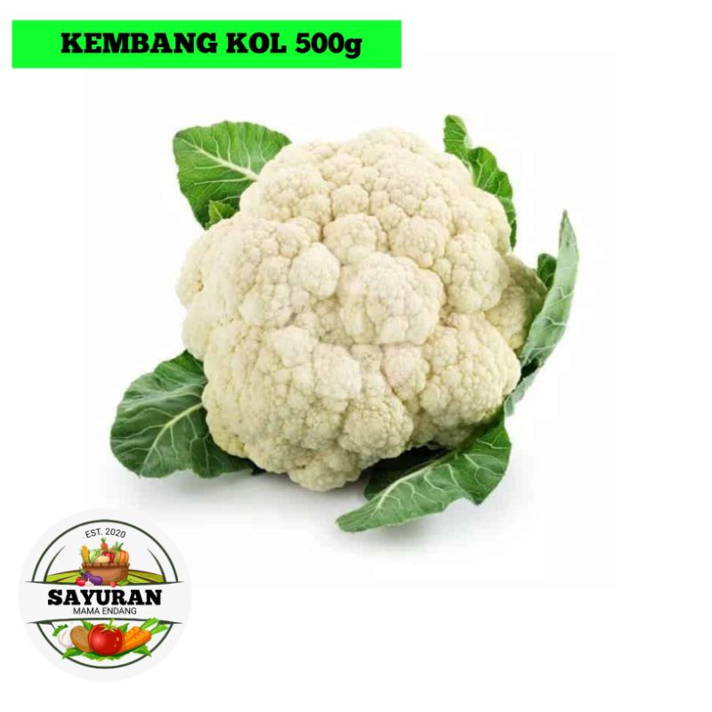 

kembang kol