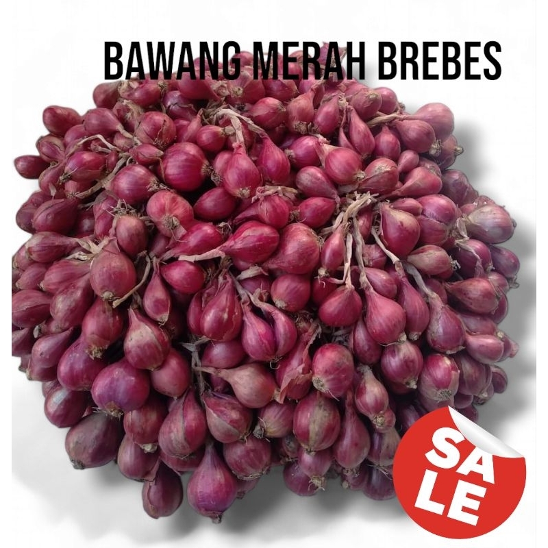 

Bawang Merah Brebes Isi 1 kg // Bawang Merah Premium
