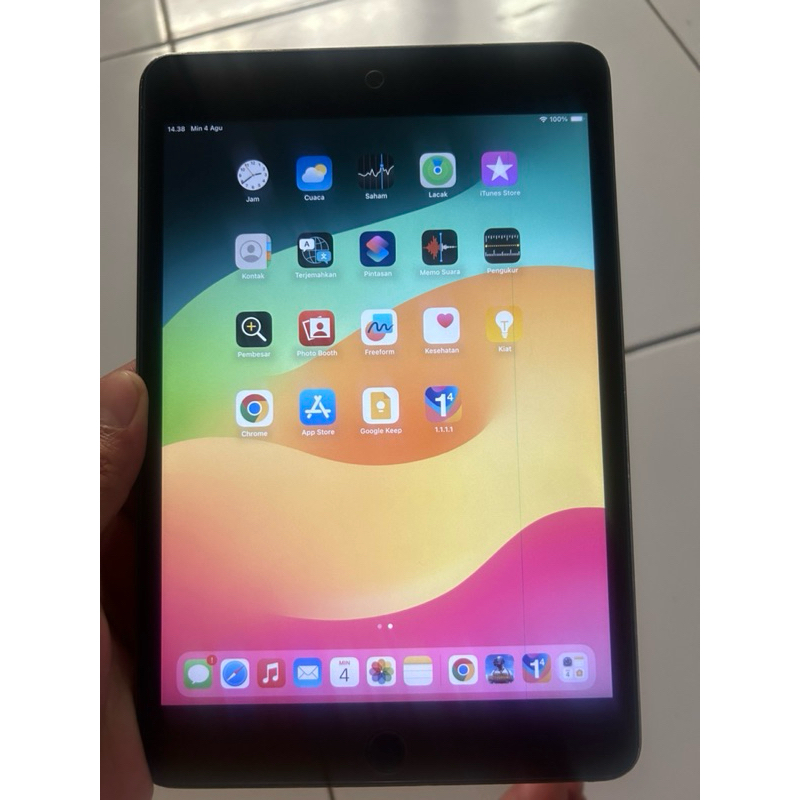 iPad Mini 5 second