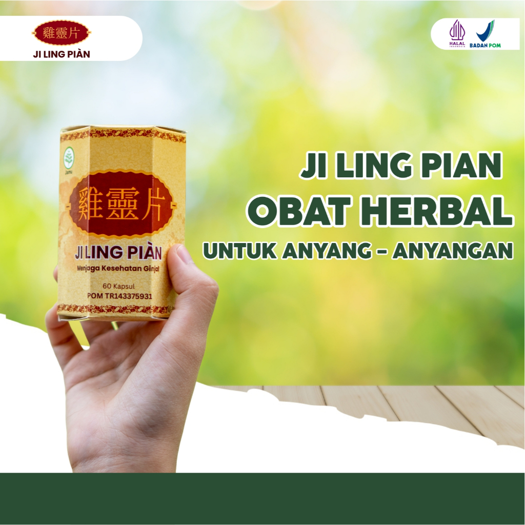 Ji Ling Pian Obat Herbal Untuk Anyang-Anyangan