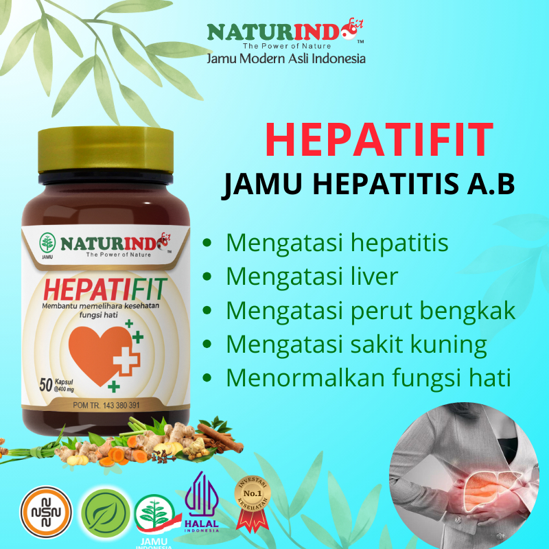 Herbal Liver Batu Empedu Herbal Hepatifit Naturindo