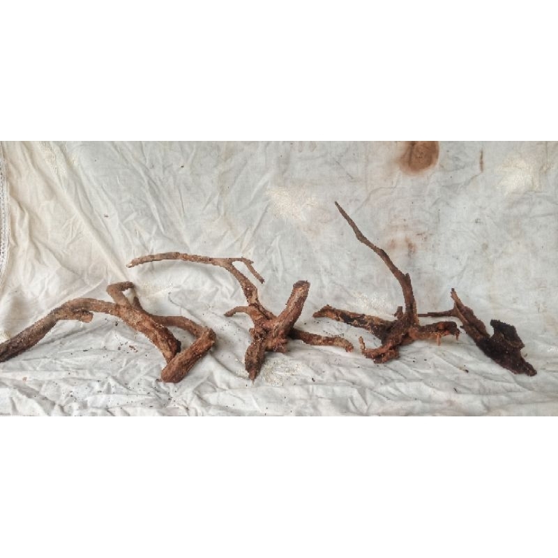 Potongan Kayu Rentek, Ranting cocok untuk Dekoran