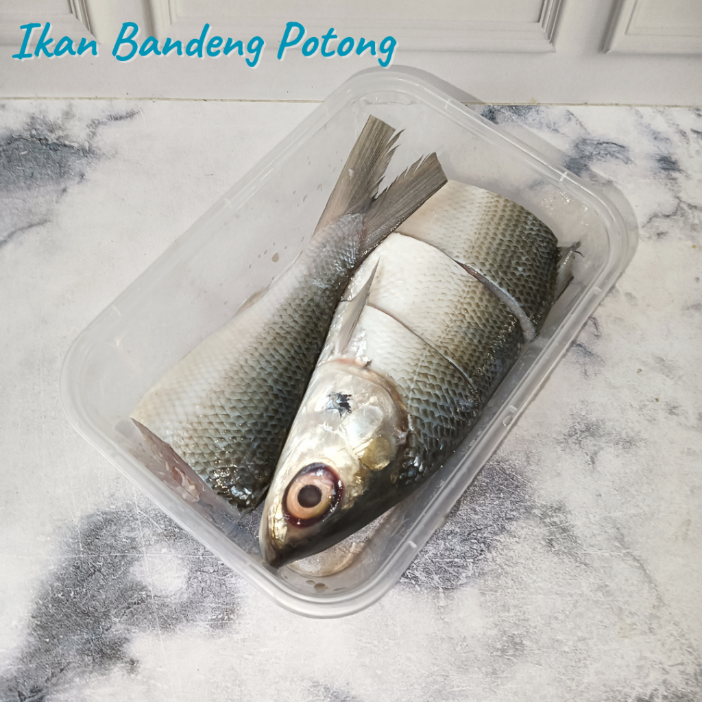 

Ikan Bandeng Potong 1 Ekor