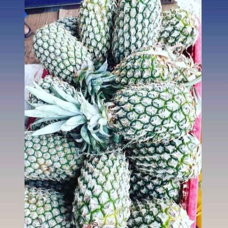 

c nanas madu