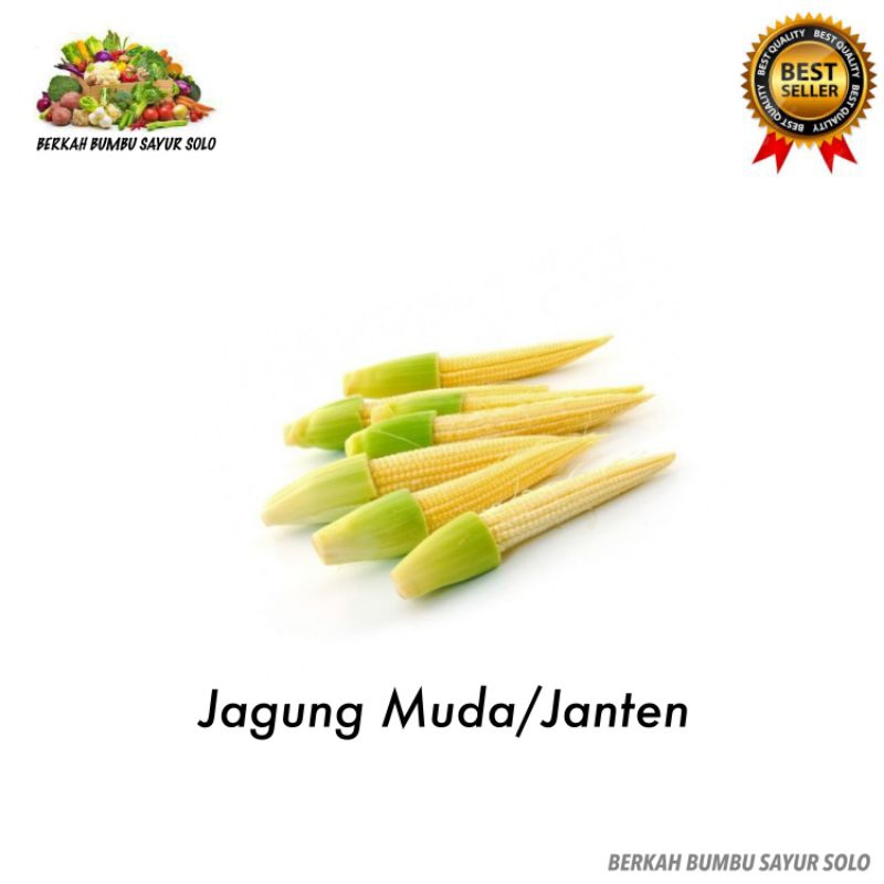 

Jagung Muda Janten Putren