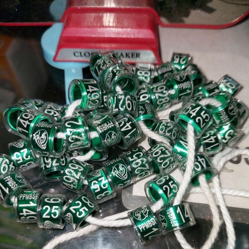 Ring merpati balap ppmbsi 2025