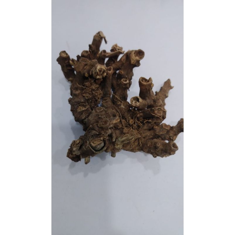 

300 G GR GRAM 川牛膝条 CHUAN NIU XI TIAO CYATHULA OFFICINALIS