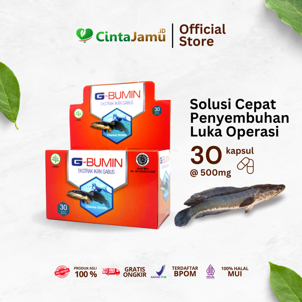 G-Bumin 500 mg - 30 kapsul (ekstrak ikan gabus)