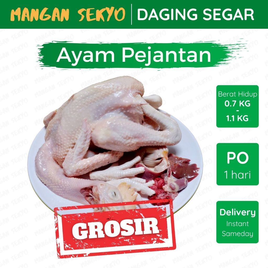 

Ayam Pejantan Segar GROSIR