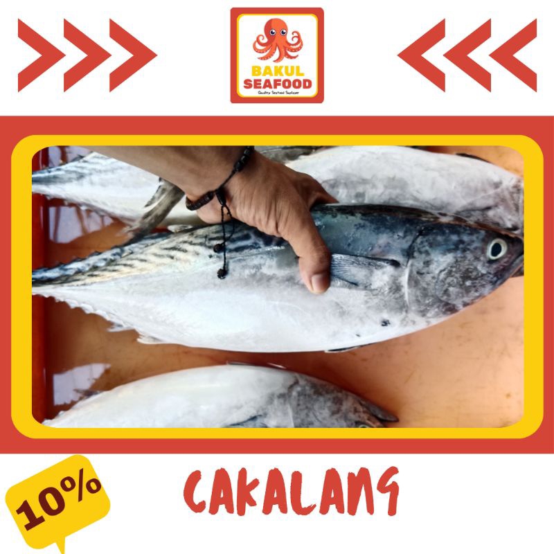 

CAKALANG 500GR - 1000GR