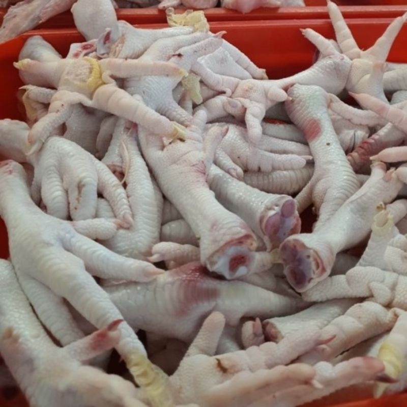 

Ceker ayam fresh segar