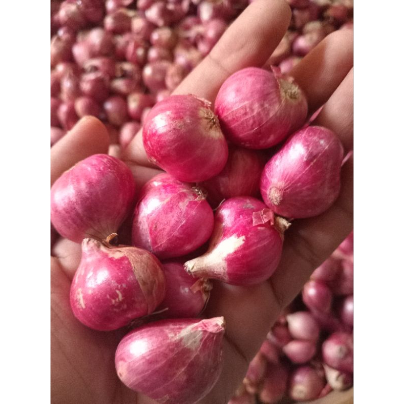 

BAWANG MERAH 500 GR, KUALITAS TERBAIK, KERING ,MUMER