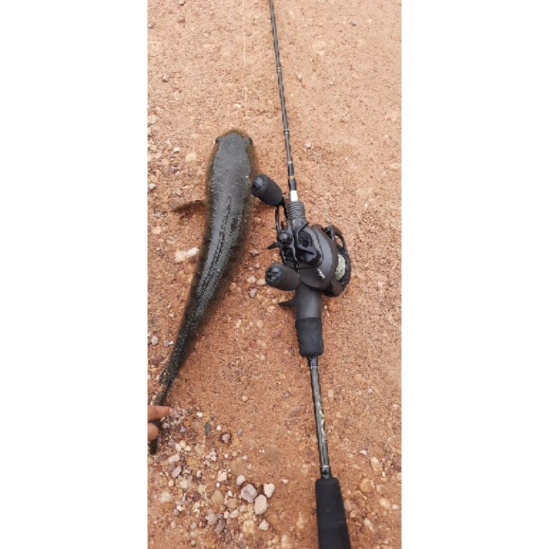 Joran Pioneer evo BC