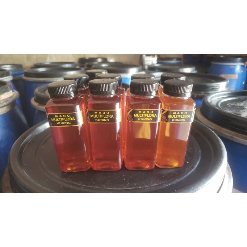 

Madu Multiflora Kuning