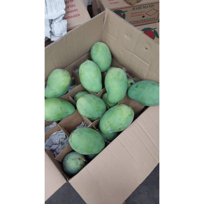 

MANGGA HARUMANIS KARDUSAN 10kg