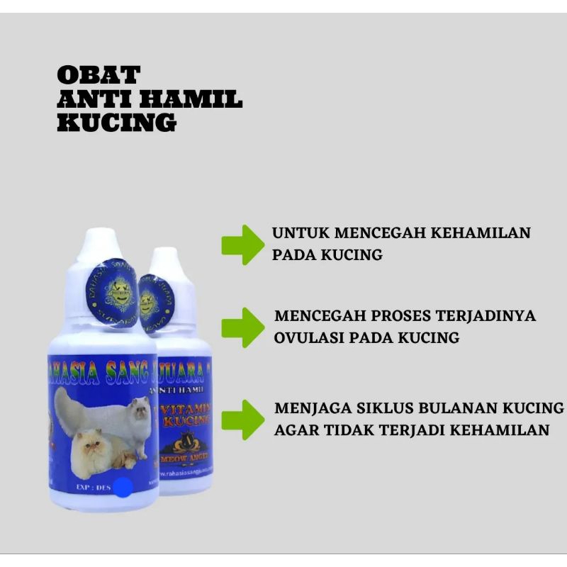 Obat Mencegah Kehamilan Kucing Obat Anti Hamil Kucing