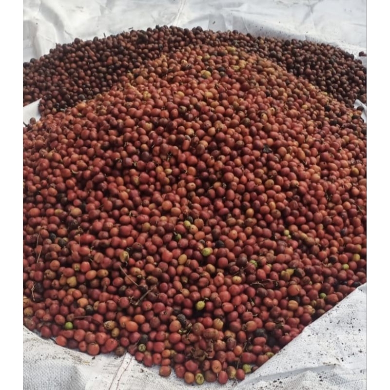 

Kopi Robusta Temanggung 1kg