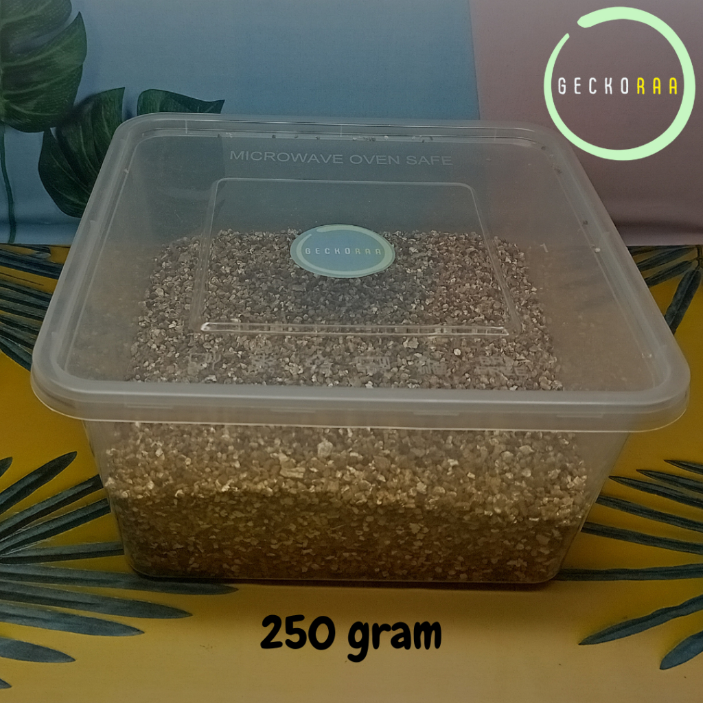 Vermiculite Kotak Besar Media Inkubasi Inkubator Telur Reptil Gecko Kura Varian Plus Besar Lebar