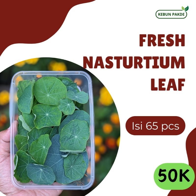 

Fresh Nasturtium Leaf | Daun Nasturtium | Resto | Daun Segar | Isi 65