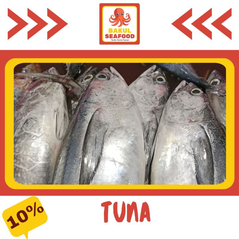 

TUNA 500GR-1000GR