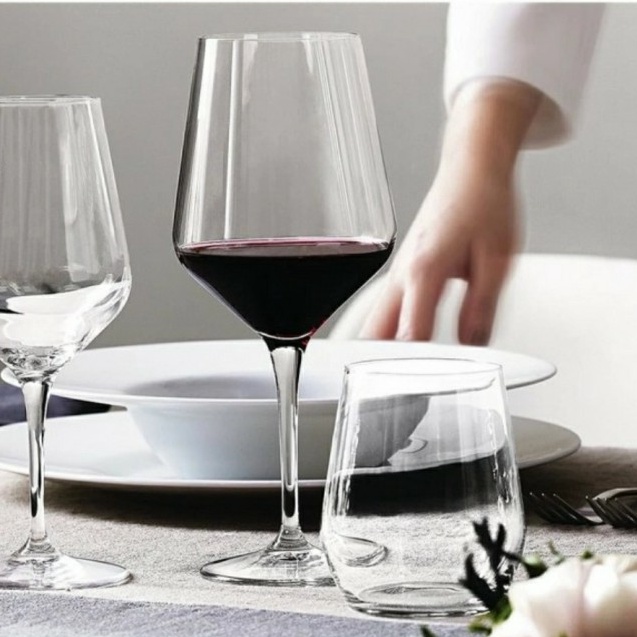 Best NADIR Red Wine Stem Glass 49cl Gelas Wine 49ml NADIR BRUNELLO 731