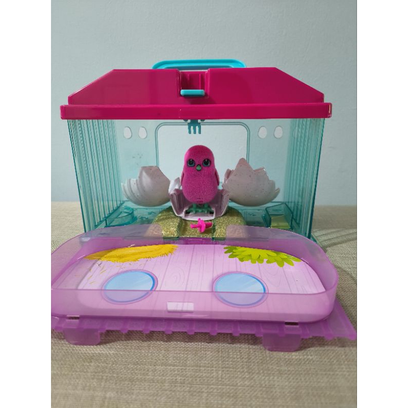 Little live pets chick