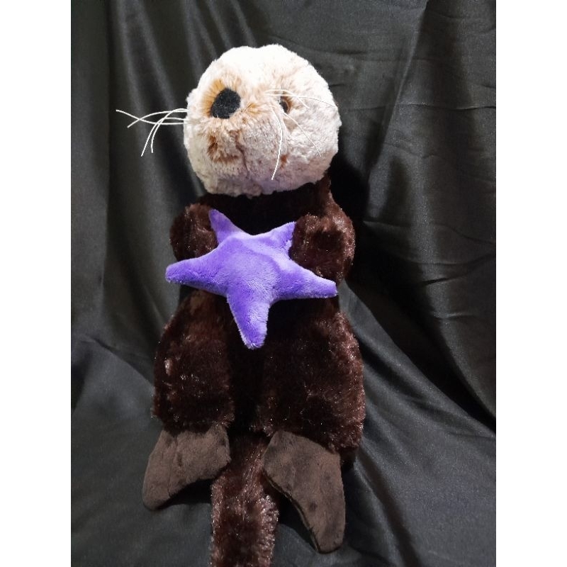 Boneka Hewan Berang-Berang Bintang