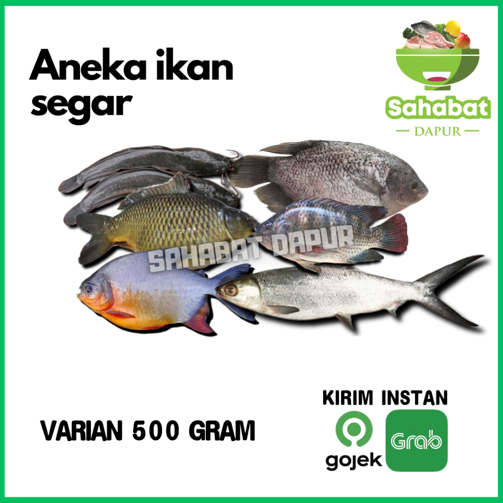 

Ikan Segar/Bandeng/Ikan Lele/Ikan Mas/Ikan Nila/Ikan Mujaer/Ikan Gurame/Ikan Bawal 500gr Sahabatdapur