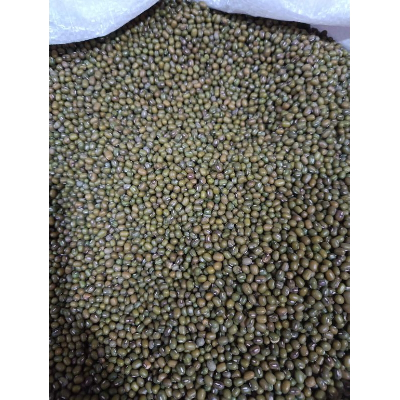 

kacang hijau