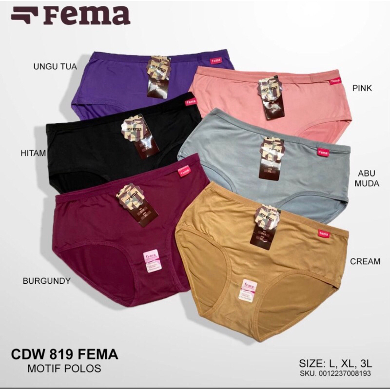 12Pcs CD Celana Dalam Wanita Fema Wenrou 819