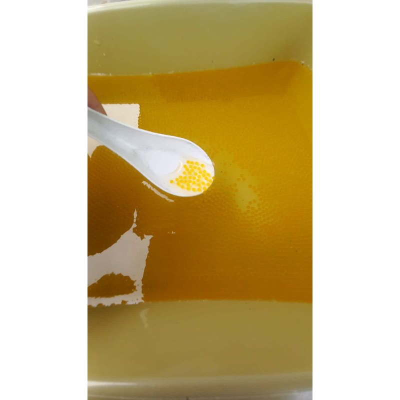 Telur gurame soang super paket isi 5000-telur gurame soang berkualitas-telur gurame soang