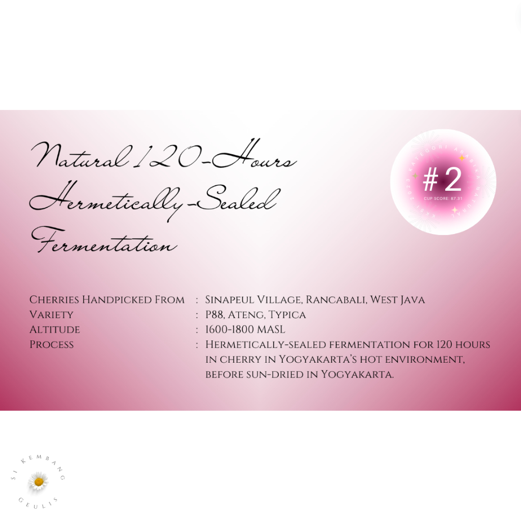 

Green Bean Arabika Sinapeul Hermetically Sealed Natural (HSN) 120 Hours Fermentation - Biji Kopi Mentah