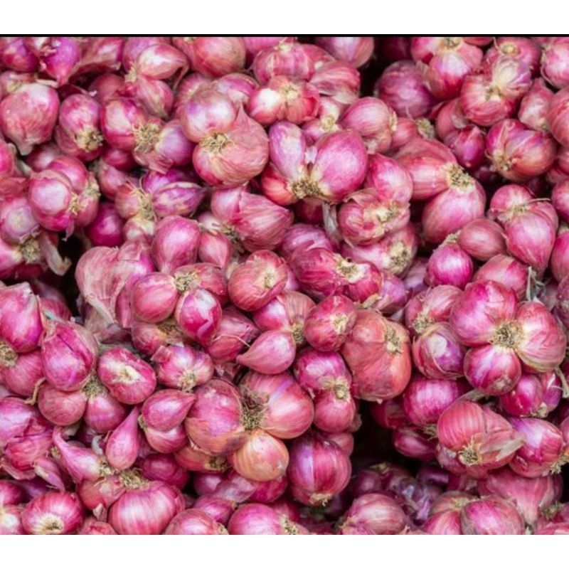 

BAWANG MERAH MURAH ORIGINAL BREBES 500 GRAM