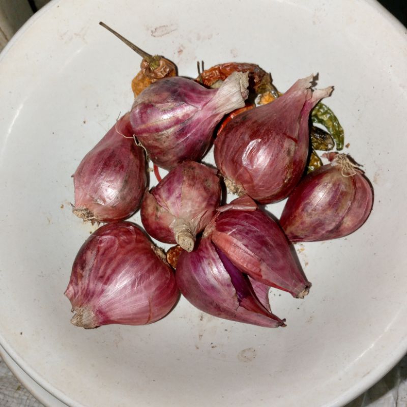 

bawang merah 50 gram murah 5000 ribu