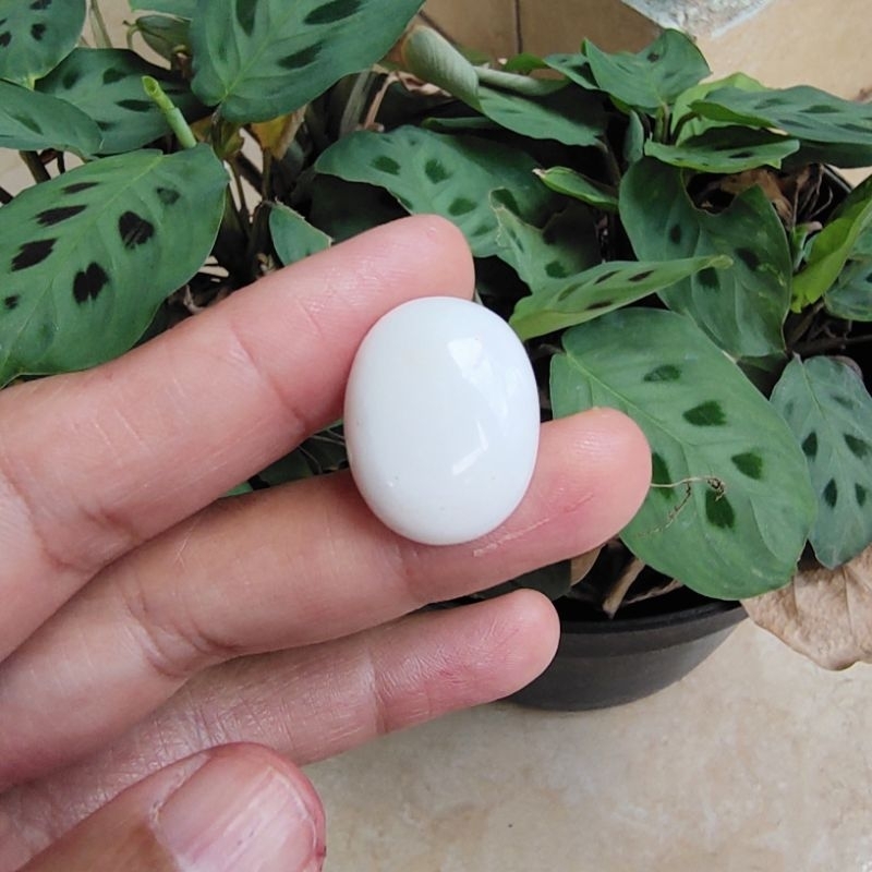 Batu Natural Akik Putih Cantik - batu akik putih asli