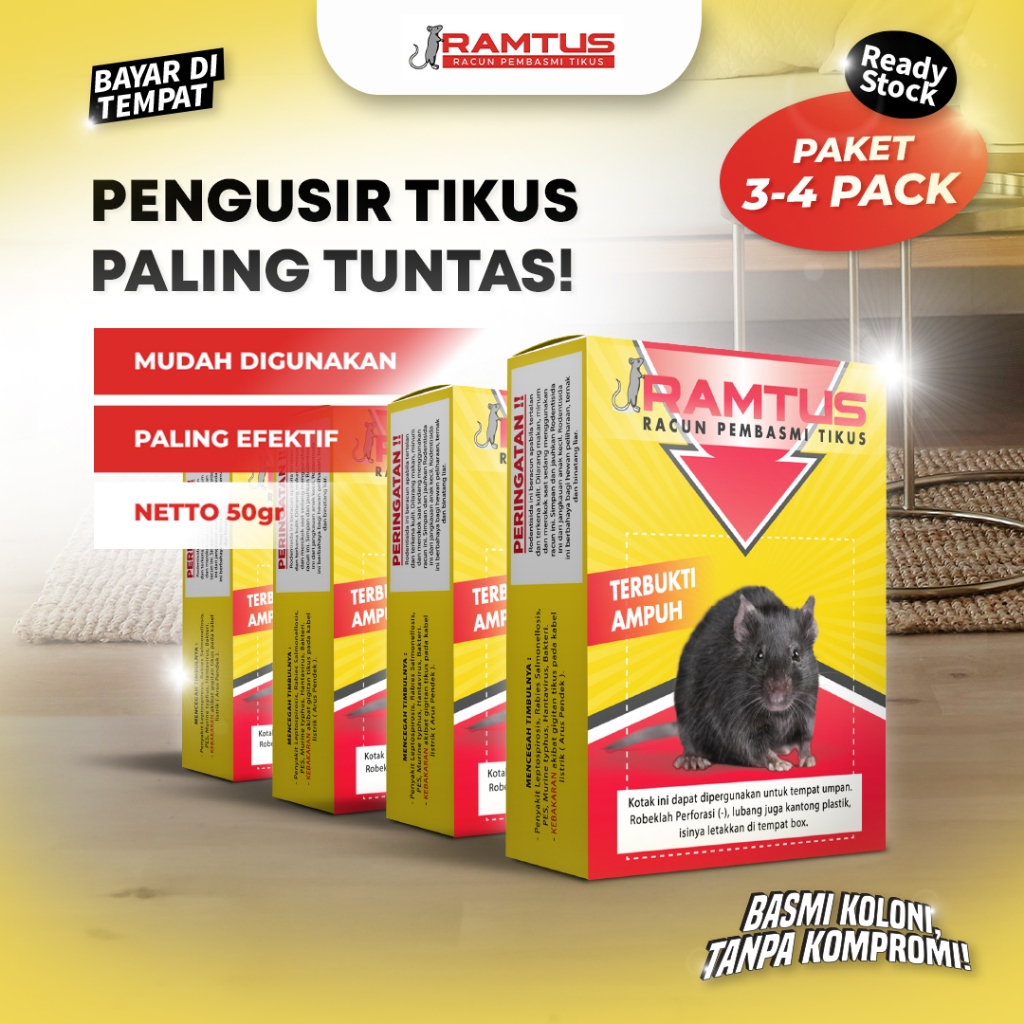 Umpan Jebakan Tikus Masal Paling Efektif, Tanpa Alat Jebakan Tikus Jepit, Listrik, Massal & Elektrik