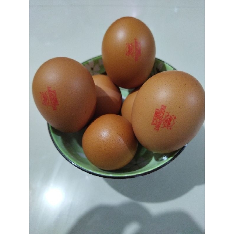 

TELUR AYAM OMEGA Per 10 Butir